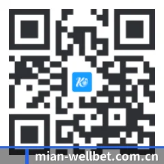 iPadOS & iOS 版 二维码 | wellbet